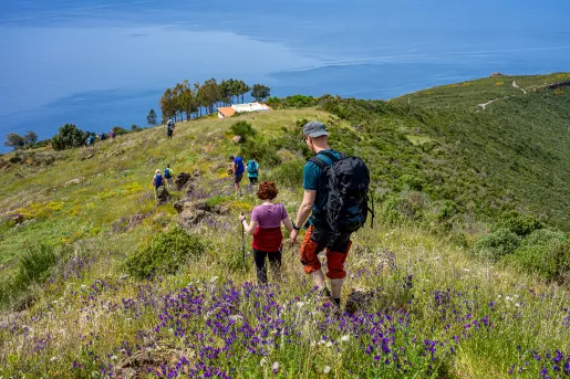 Guests walking down grassy hill, towards ocean, house.