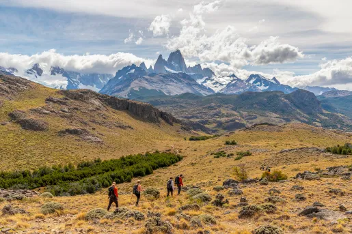 Four guests trekking over grassy, rocky meadow, large snowy mountains in background.