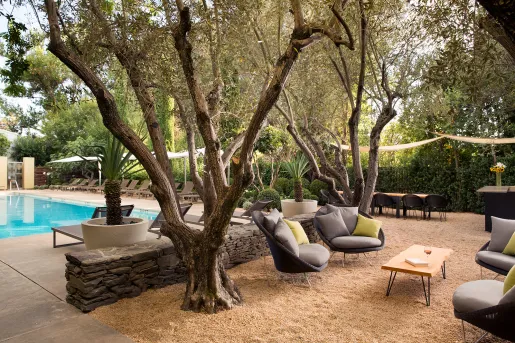 The grounds at Hotel Healdsburg