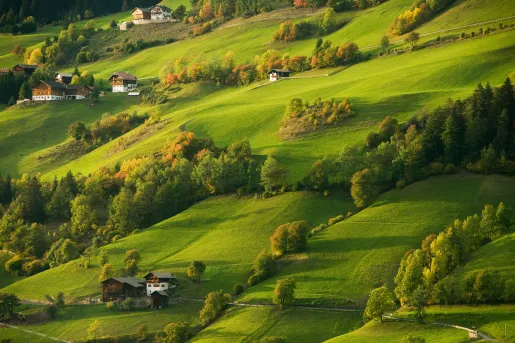 Wide shot of green, hilly plains.