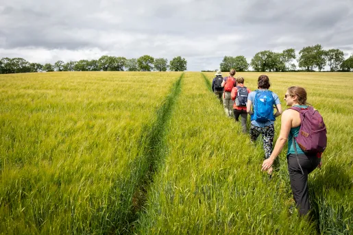 Backroads guests hiking in grassy field.
