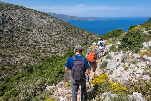 Four guests walking down craggy rock hills, towards valley, ocean.