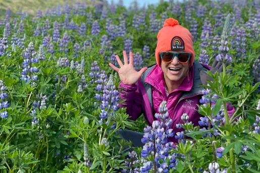 Hiker posing in wild lupine flowers in Iceland.