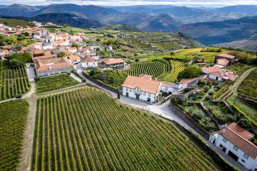 Bird's eye shot of vineyard town, white and tan houses, grapevines all around.