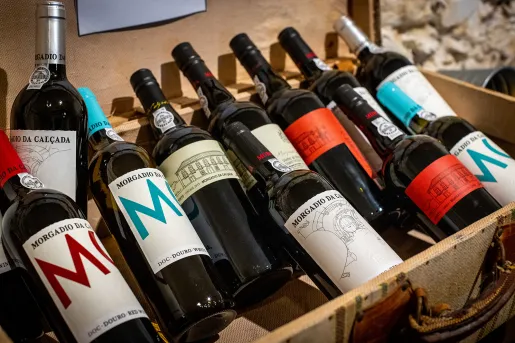 Close-up of various bottles of wine.