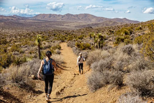 Two guests hiking on desert trail, vast desert landscape all around.