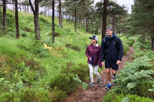 Hiking Forest Scotland