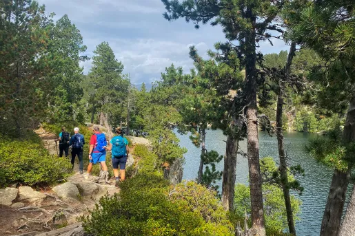 Four guests on riverside trail, trees all around.