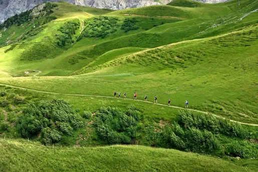 Side shot of guests walking on hilly meadow, mountains in distance. 
