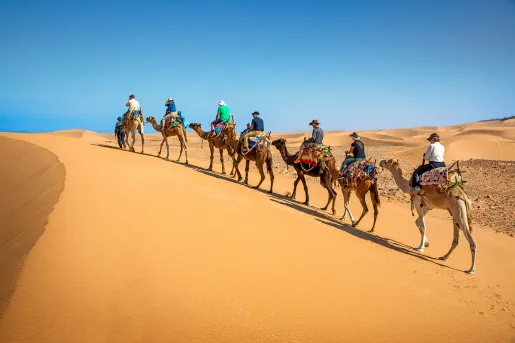 Row of travelers on dromedaries walking along sand dune