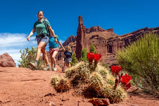 Group of women hiking through a desert, with cacti on the ground and tall canyons in the background