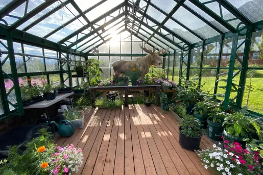 Greenhouse full of various plants and flowers, with a moose statue inside