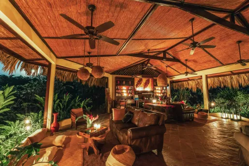 patio covered with thatched roof