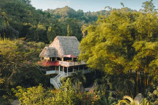 cottage with thatched roof nestled in the trees