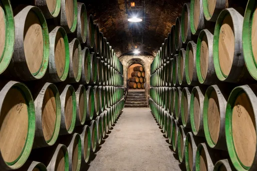 Cellar full of green barrels and a long hallway