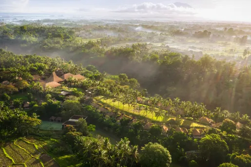 Large forest surrounded by fog and sunlight