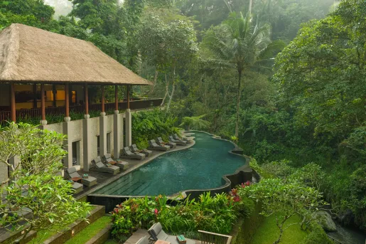 Outdoor pool next to a forest, with gray reclining chairs surrounding the pool