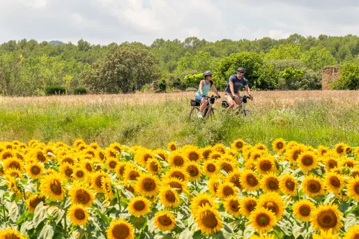 Man and woman biking in a open valley, surrounded by tall weeds and sunflowers