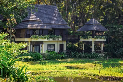 small homes surrounded by green grass