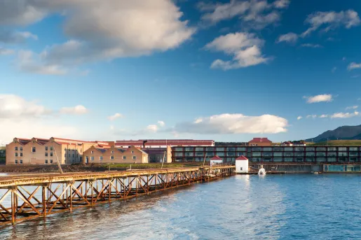 long dock on a body of water