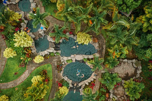 5 mini outdoor pools with people swimming inside of each pool, surrounded by tall palm trees