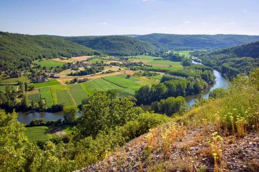top view of crop fields