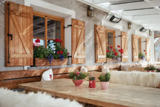 Rows of tables and benches with windowsills with flowers on the left