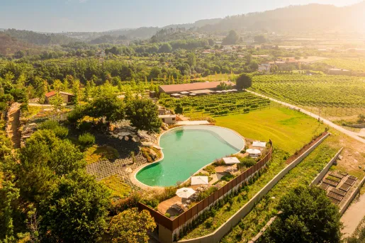 Top view of an outdoor open pool, surrounded by crops and trees