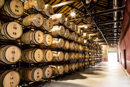 Wine cellar full of barrels stamped with numbers