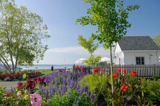 Outdoor garden with a white building next to the ocean