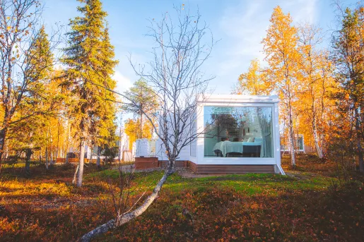 A white cube building in the woods