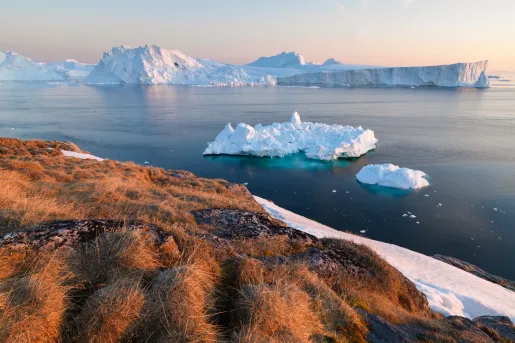 icebergs floating in water