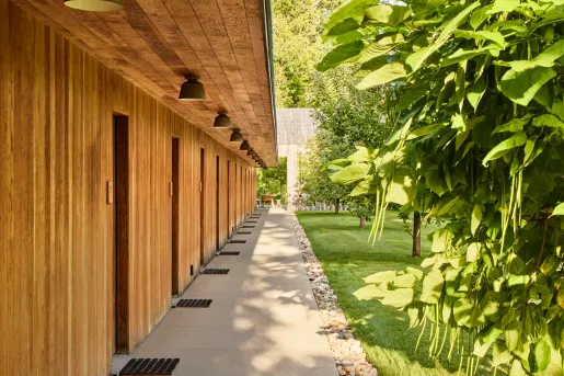 Walkway of hotel rooms surrounded by grass and tall plants