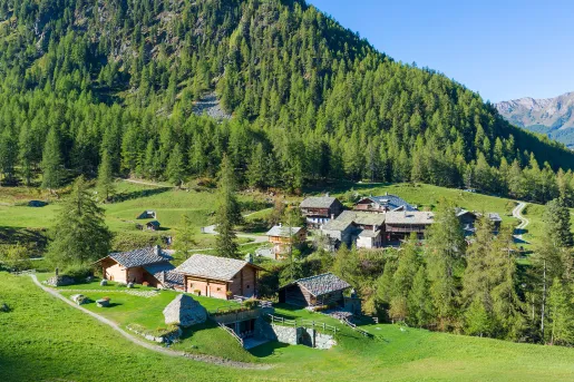 Top view of a small town with a mountain of trees behind