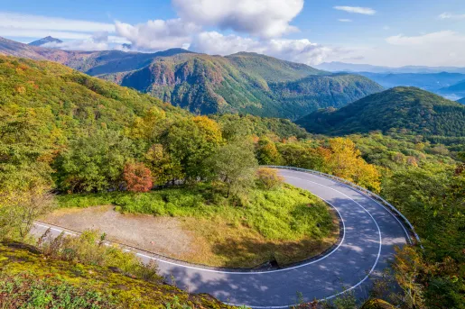 winding road through forested mountains