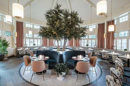 tree in the middle of the dining room