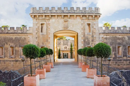 walkway lined with trees leading to entrance