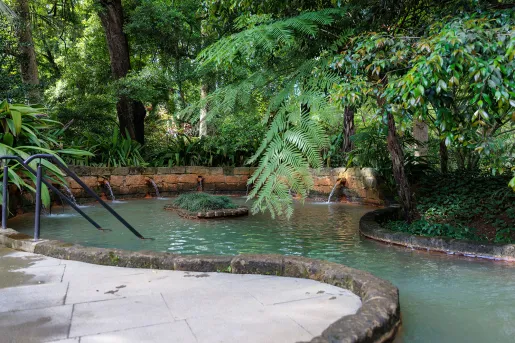 Outdoor pool surrounded by tropical trees and a stone barricade