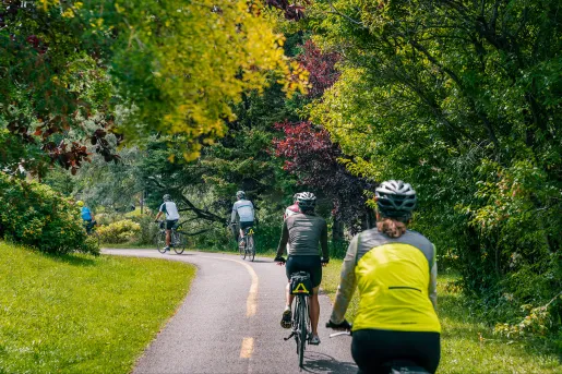 The back of a row of bikers cycling down a street