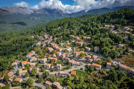 Sky view of a small town surrounded by tall trees and mountains