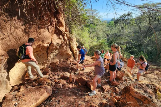 guests rock climbing