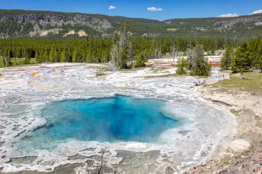 Salt-covered lake in the middle of a valley of trees