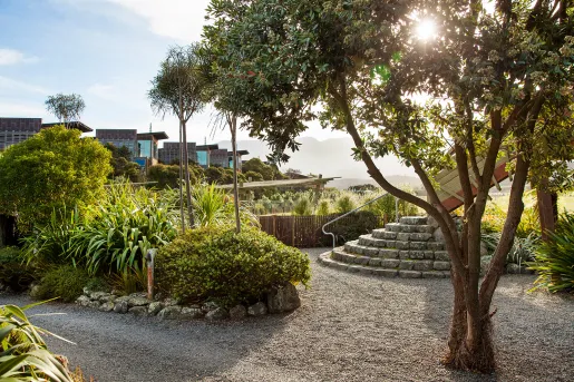 Small gravel pathway with large plants and stone stairways