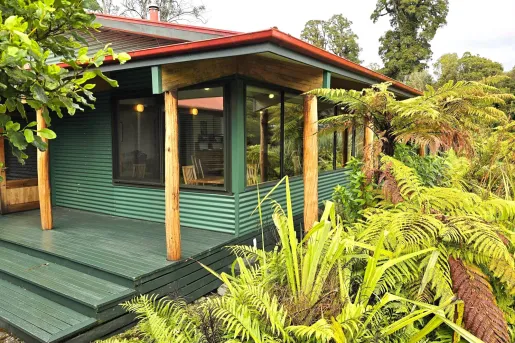 Entrance to a green building, surrounded by tall plants and trees
