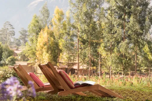 two chaise lounges in the sun