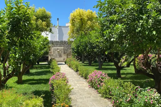 stone walkway surrounded by shrubs