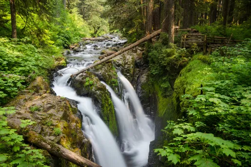 3 small waterfalls with a river in the middle of a forest