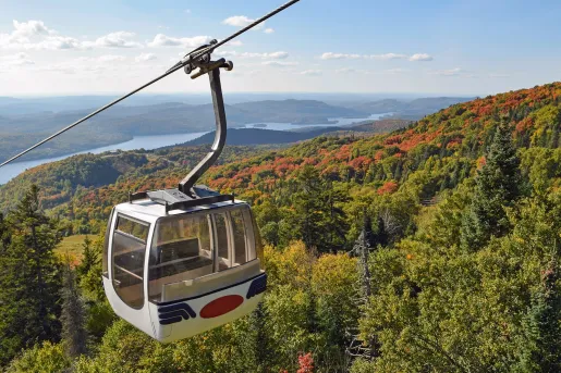 Electric gondola with and empty carrier
