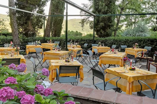 Outdoor dining patio with yellow tables, surrounded by tall trees