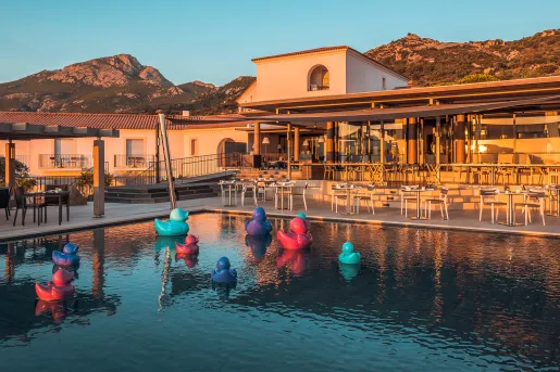 rubber ducks in hotel pool